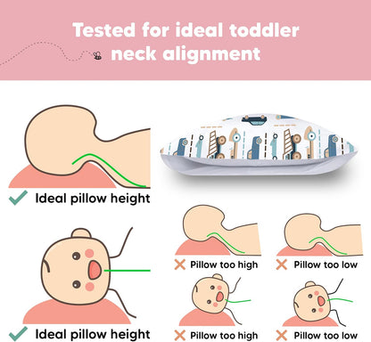 Toddler Pillow with Pillowcase, 13X18 My Little Dreamy Pillow (Vroom)