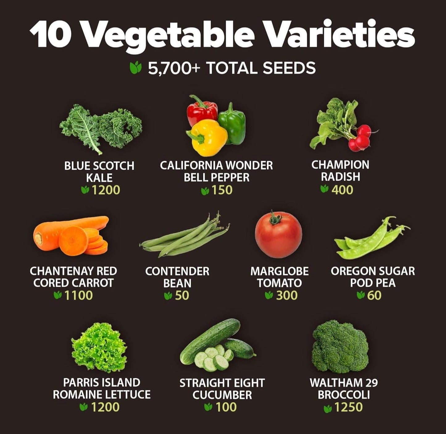10 Variety Seed Vault, 5,700+ Seeds, Vegetable Garden Kit